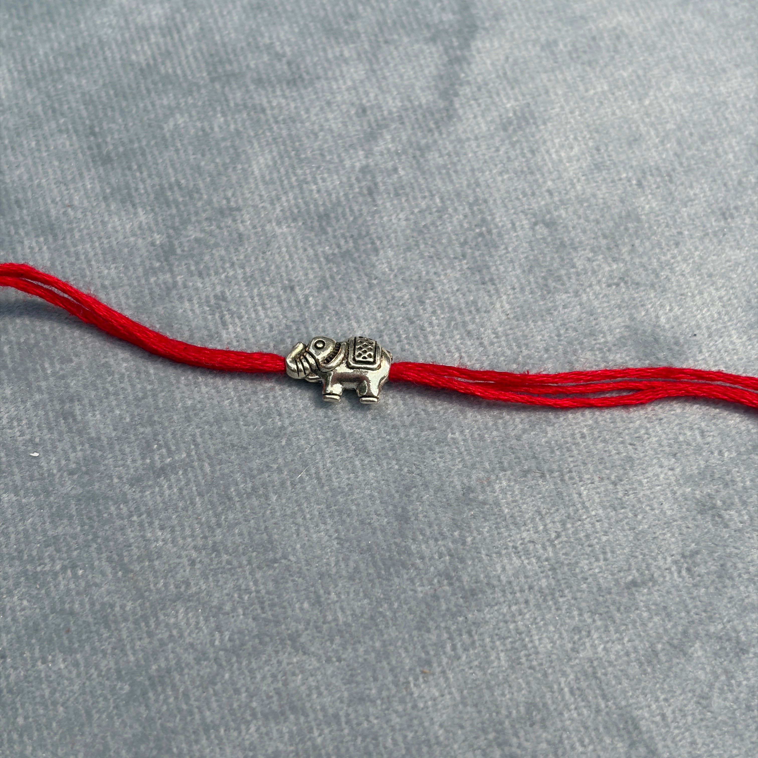 Silver Gaj Rakhi